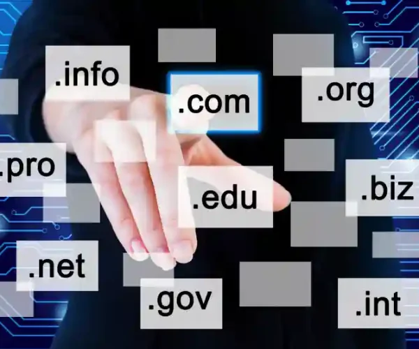 Domain Registration